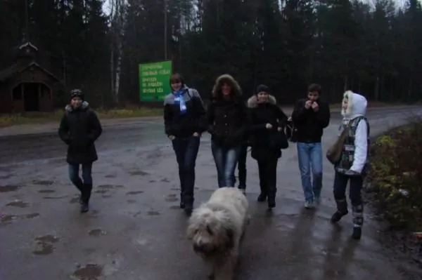 Открытый урок по биологии, 2009г