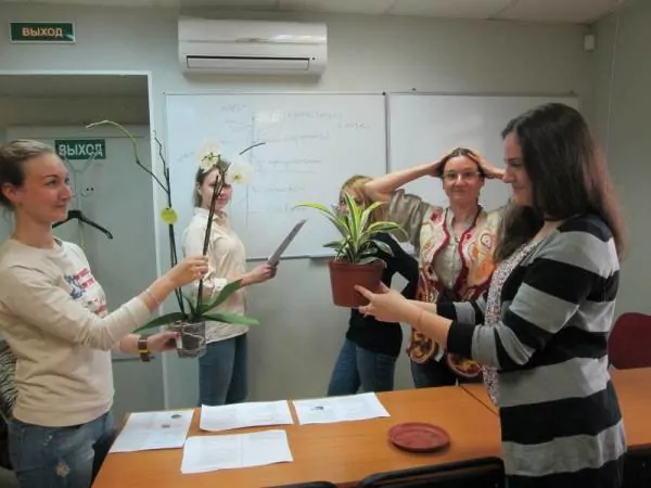 2012г
